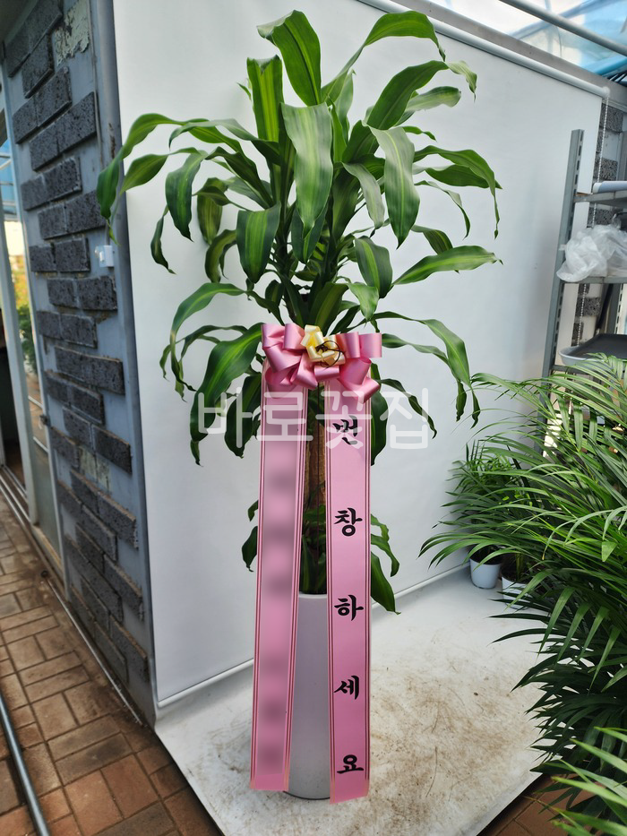 실제 배송사진