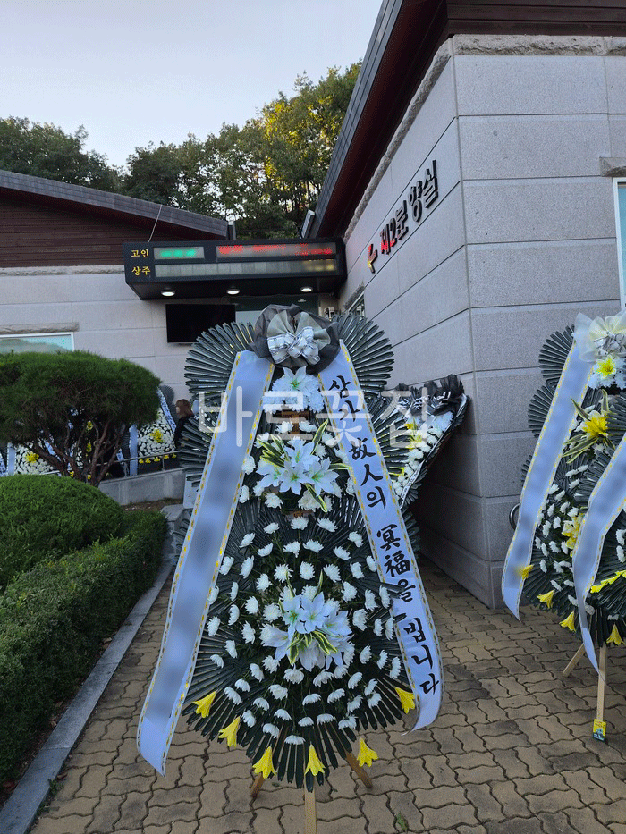 실제 배송사진