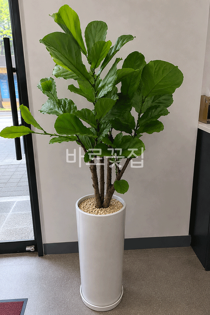 실제 배송사진