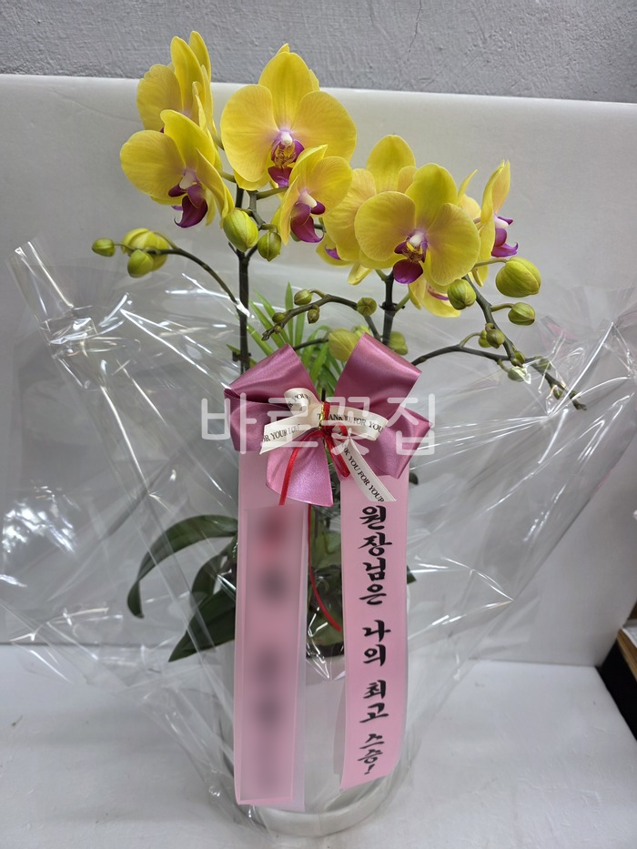 실제 배송사진