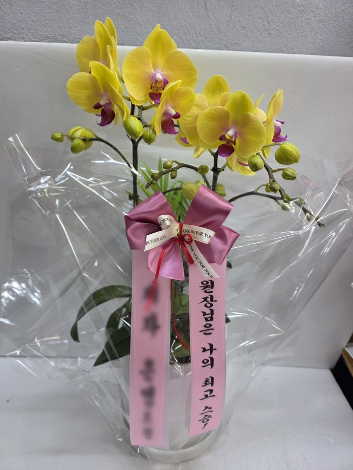 실제 배송사진