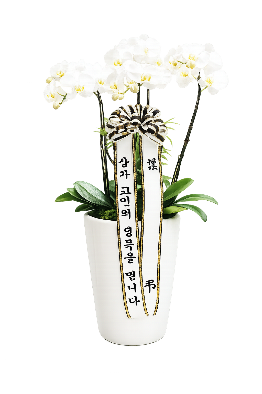 근조서양란