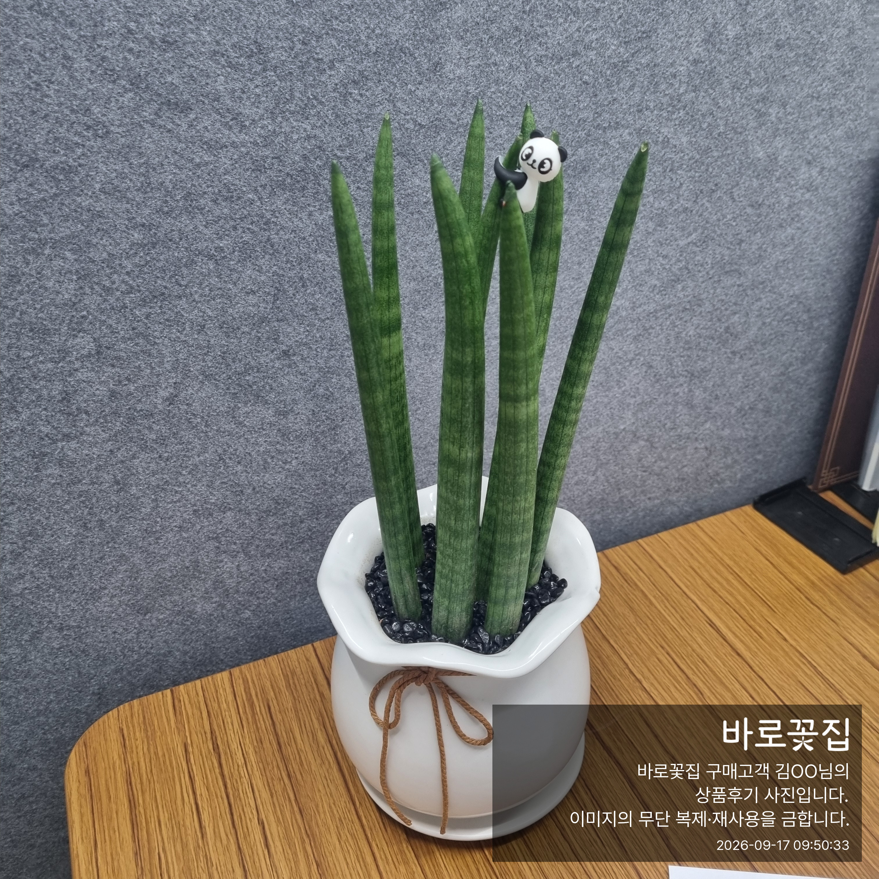 KakaoTalk_20260917_092908521.jpg