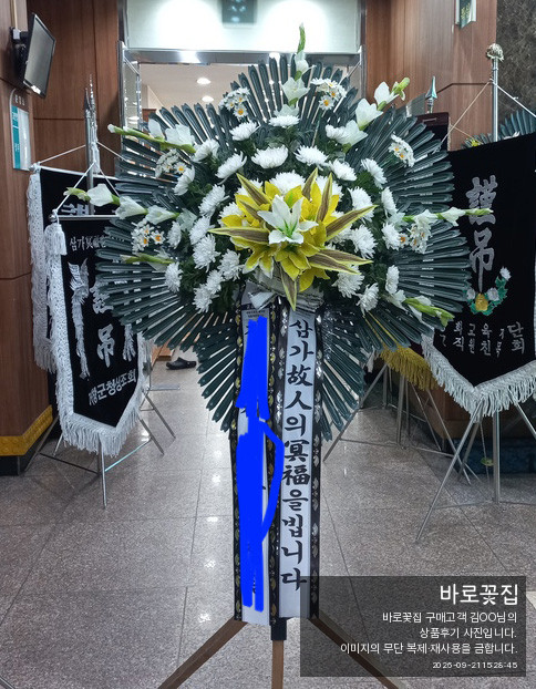 8121141_6ab0cb1758aad.jpg